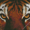 Tiger Eyes Animal Diamond Paintings