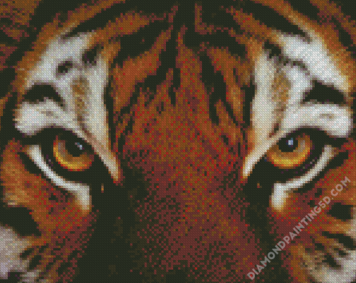 Tiger Eyes Animal Diamond Paintings