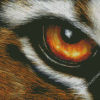 Aesthetic Tiger Eyes Art Diamond Paintings