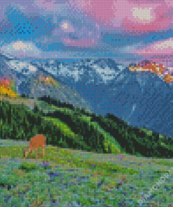 Olympic Mountains Landscape Diamond Paintings