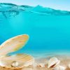 Sand And Seashells Underwater Diamond Paintings