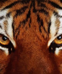 Tiger Eyes Animal Diamond Paintings