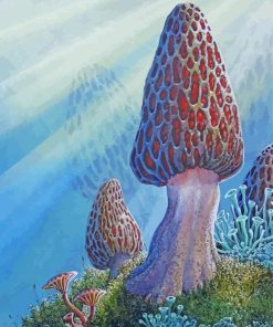 True Morel Art Diamond Paintings