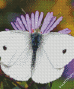 White Butterfly Art Diamond Paintings