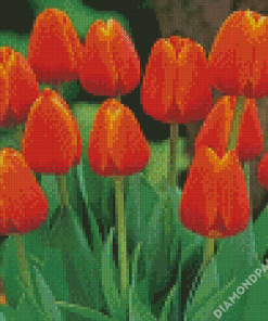 Aesthetic Orange Tulips Diamond Paintings