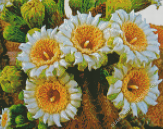 Aesthetic Saguaro Cactus Flower Diamond Paintings