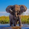 African Elephant In Water Diamond Paintings