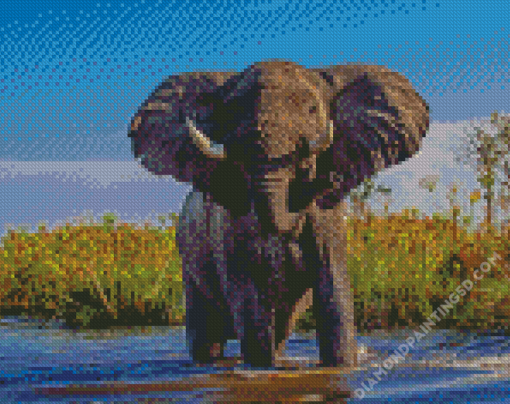 African Elephant In Water Diamond Paintings