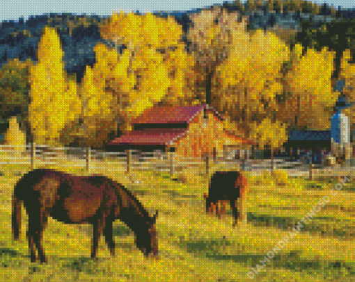 Barn And Horses in Autumn Diamond Paintings