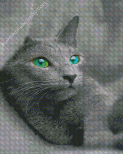 Beautiful Russian Blue Cat Diamond Paintings