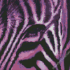 Close Up Purple Zebra Diamond Paintings