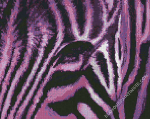 Close Up Purple Zebra Diamond Paintings