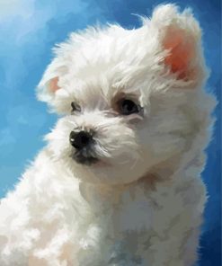 Cute Maltese Dog Puppy Diamond Paintings