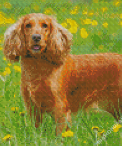 English Cocker Spaniel Dog Diamond Paintings