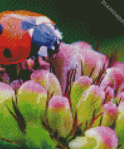 Ladybeetle On Flower Diamond Paintings