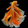 Orange Elegant Fish Diamond Paintings