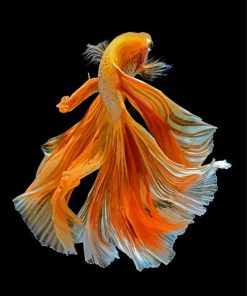 Orange Elegant Fish Diamond Paintings