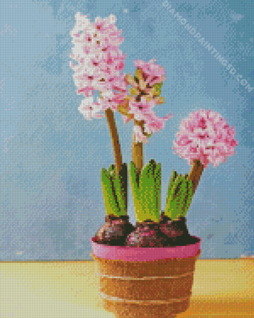 Pink Hyacinth Diamond Paintings