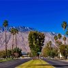 Trees In Between On Side Of Roads Palm Springs Diamond Paintings