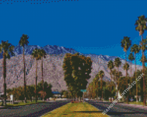 Trees In Between On Side Of Roads Palm Springs Diamond Paintings
