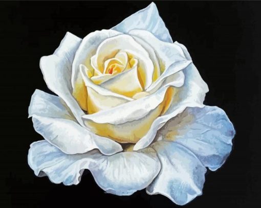 White Rose Art Diamond Paintings