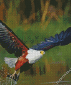 African Fish Eagle Bird Diamond Paintings