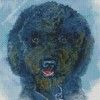 Black Poodle Puppy Art Diamond Paintings