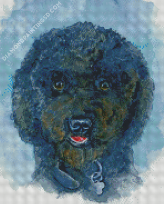 Black Poodle Puppy Art Diamond Paintings