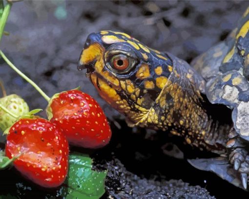 Box Turtle And Strawberry Diamond Paintings