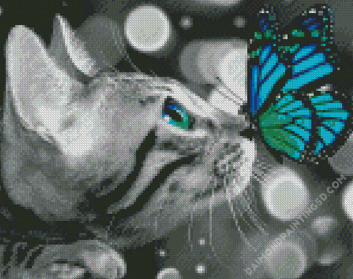 Butterfly On Cat Diamond Paintings