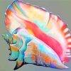 Colorful Conch Shell Diamond Paintings