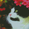 Cute Tuxedo Cat Diamond Paintings