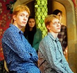 Fred Et George Weasley From Harry Potter Diamond Paintings