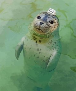 Harbor Seal In Water Diamond Paintings