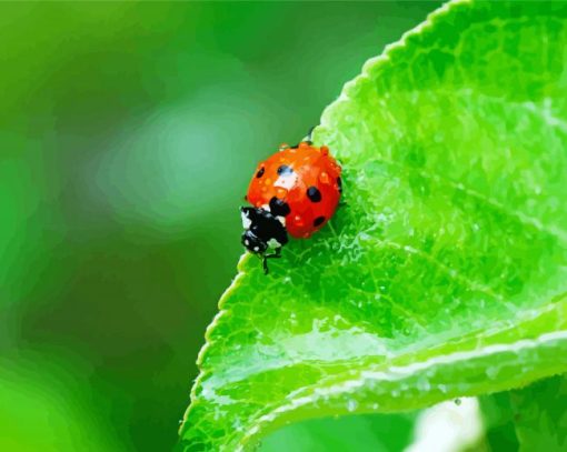 Ladybird Insect Diamond Paintings