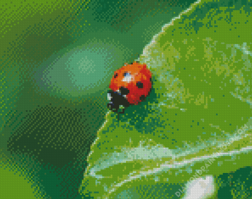 Ladybird Insect Diamond Paintings