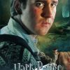 Neville Longbottom From Harry Potter Diamond Paintings