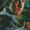 Neville Longbottom From Harry Potter Diamond Paintings