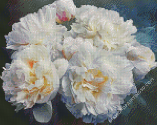 Peonies Flowers Diamond Paintings