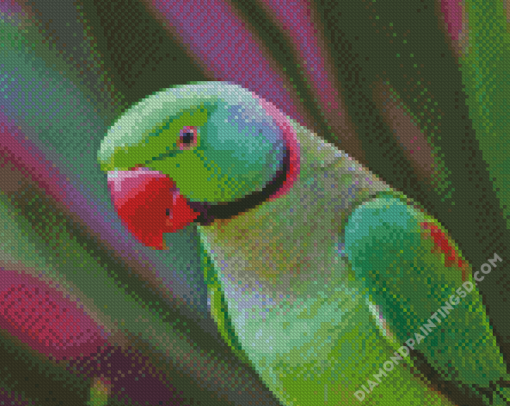 Ringneck Parrot Diamond Paintings