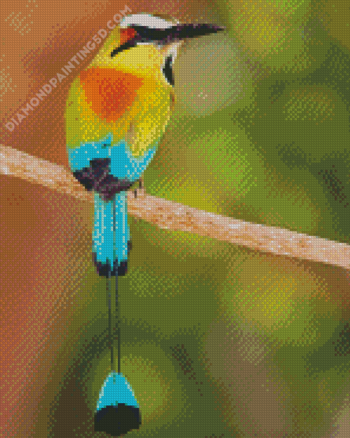 Aesthetic Motmot Bird Diamond Paintings