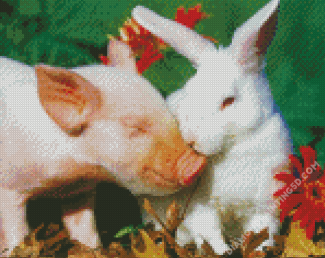 Aesthetic Pig And Rabbit Diamond Paintings