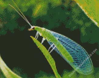 Aesthetic Lacewing Insect Diamond Paintings