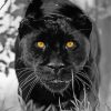 Black Jaguar With Yellow Ayes Diamond Paintings