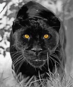 Black Jaguar With Yellow Ayes Diamond Paintings