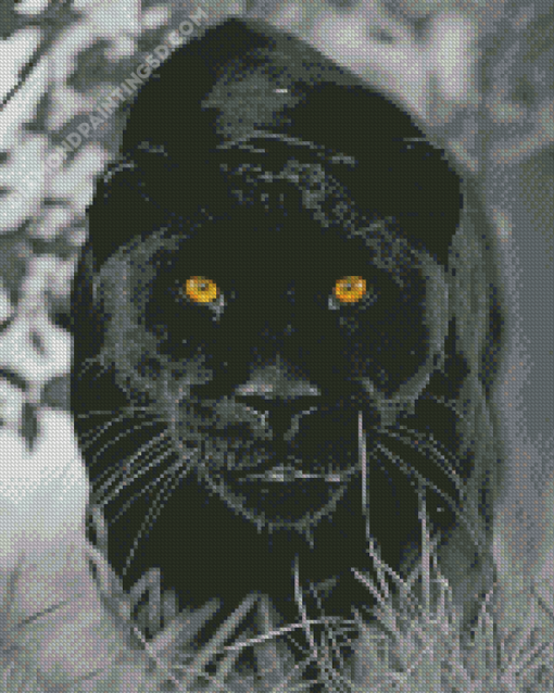 Black Jaguar With Yellow Ayes Diamond Paintings