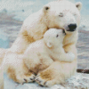 Cute Polar Bear Cub Diamond Paintings