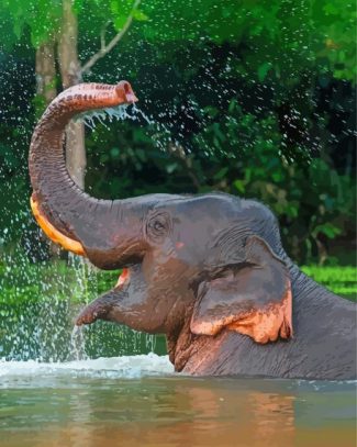 Funny Elephant In Water Diamond Paintings