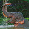 Funny Elephant In Water Diamond Paintings