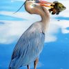 Great Blue Heron With Fish in Water Diamond Paintings